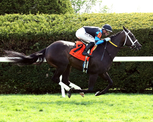 IN OUR TIME - The Giant's Causeway Grade 2  - 04-12-26 - R07 - KEE - Finish 02 - Coady Media - Kurtis Coady Photography
