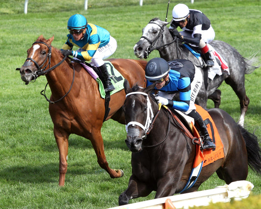 IN OUR TIME - The Giant's Causeway Grade 2  - 04-12-26 - R07 - KEE - Inside Finish 02 - Coady Media - Kurtis Coady Photography