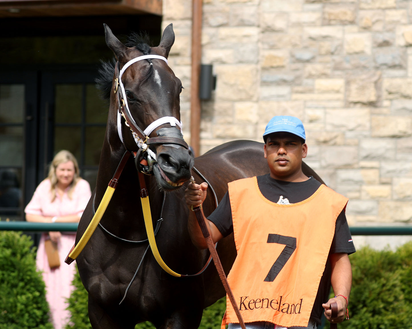 IN OUR TIME - The Giant's Causeway Grade 2  - 04-12-26 - R07 - KEE - Paddock 01 - Coady Media - Kurtis Coady Photography