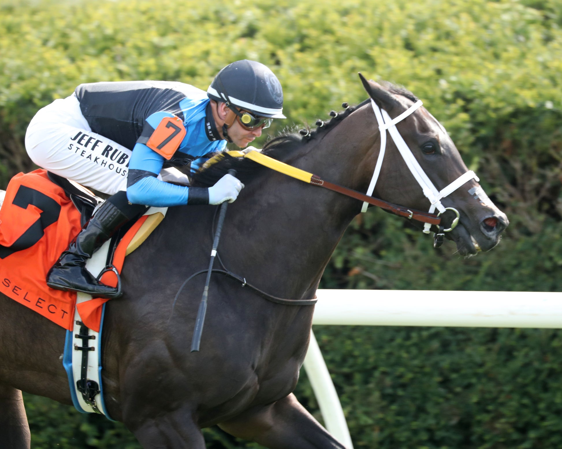 IN OUR TIME - The Giant's Causeway Grade 2  - 04-12-26 - R07 - KEE - Tight Finish 01 - Coady Media - Kurtis Coady Photography