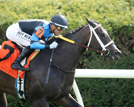 IN OUR TIME - The Giant's Causeway Grade 2  - 04-12-26 - R07 - KEE - Tight Finish 01 - Coady Media - Kurtis Coady Photography
