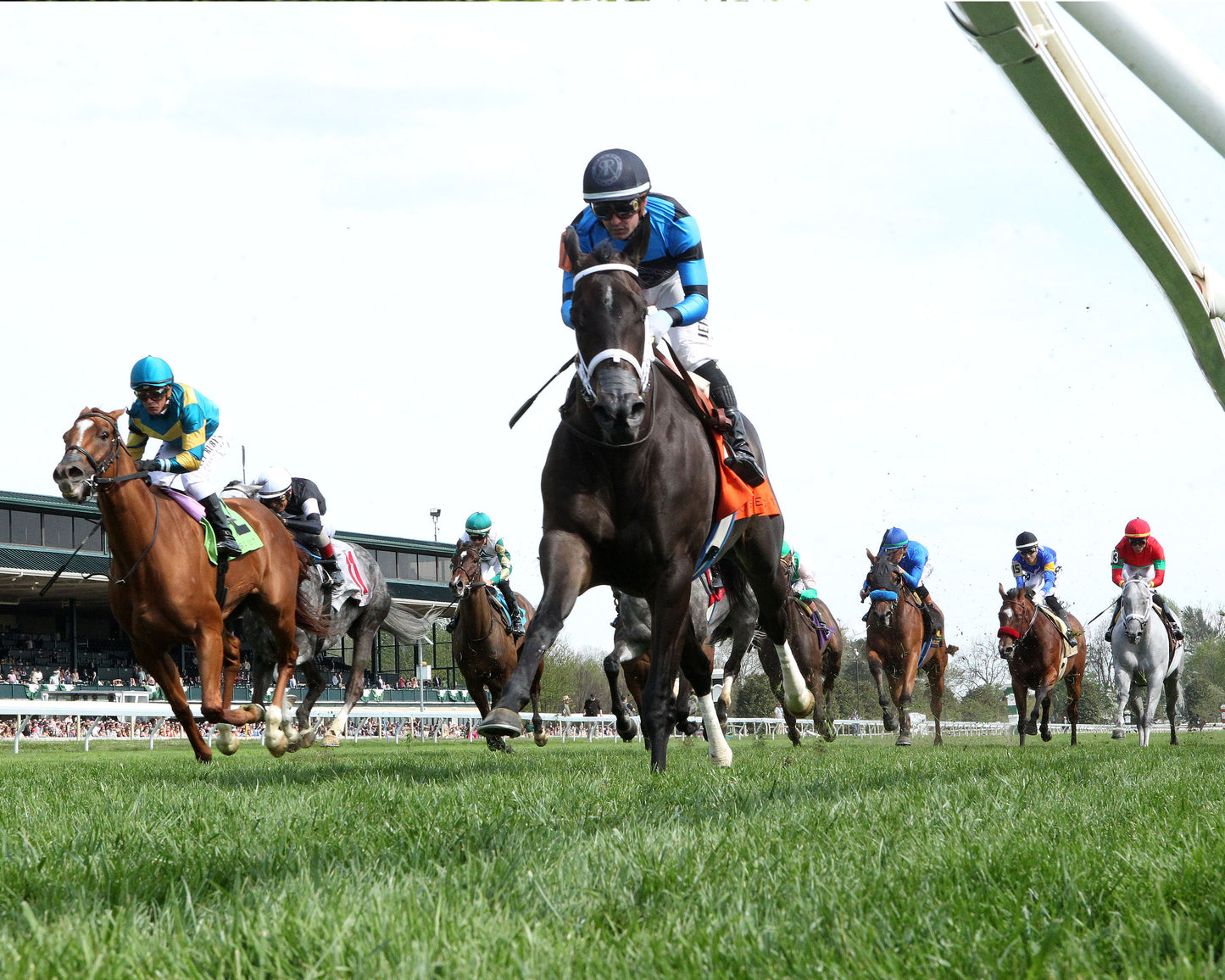IN OUR TIME - The Giant's Causeway Grade 2  - 04-12-26 - R07 - KEE - Under Rail 01 - Coady Media - Kurtis Coady Photography