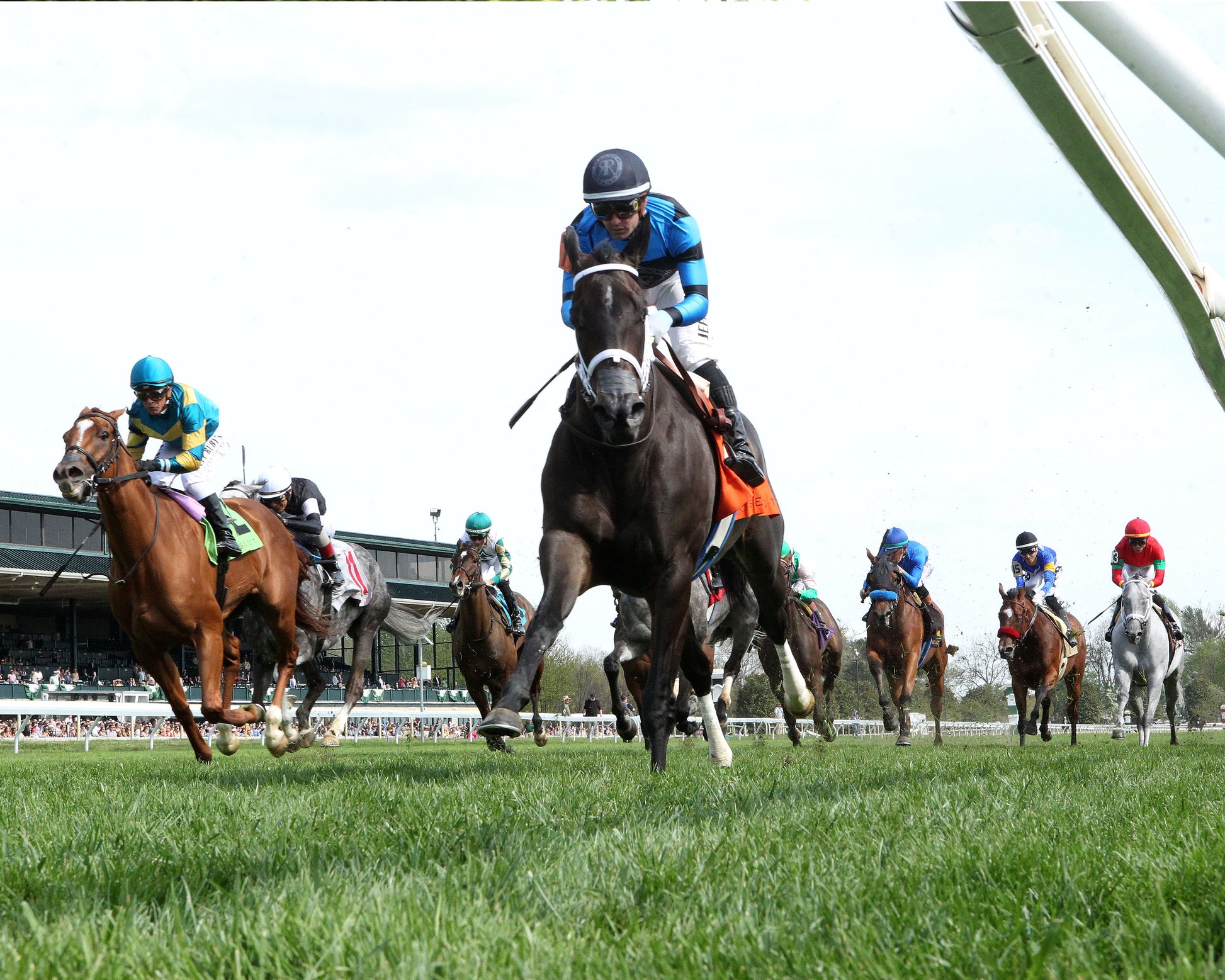 IN OUR TIME - The Giant's Causeway Grade 2  - 04-12-26 - R07 - KEE - Under Rail 01 - Coady Media - Kurtis Coady Photography