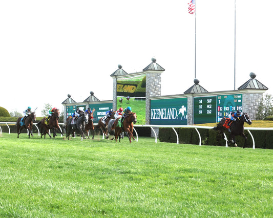 IN OUR TIME - The Giant's Causeway Grade 2  - 04-12-26 - R07 - KEE - Up Track 01 - Coady Media - Kurtis Coady Photography