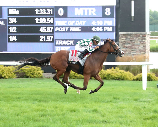 IN THE STARS - Indiana General Assembly Distaff Handicap - 07-11-26 - R08 - Horseshoe Indiana - Finish 01 - Devin Hall