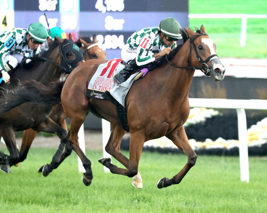 IN THE STARS - Indiana General Assembly Distaff Handicap - 07-11-26 - R08 - Horseshoe Indiana - Finish 02 - Cady Coulardot