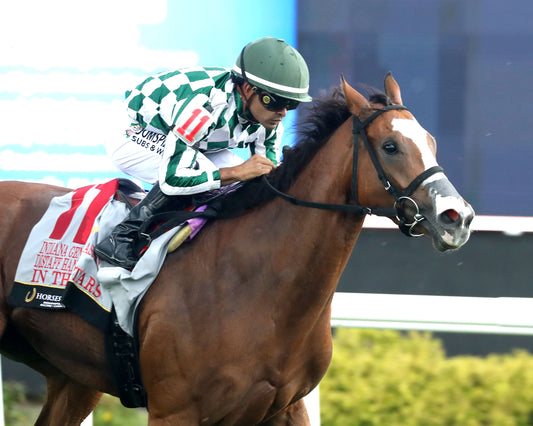 IN THE STARS - Indiana General Assembly Distaff Handicap - 07-11-26 - R08 - Horseshoe Indiana - Finish 04 - Cady Coulardot