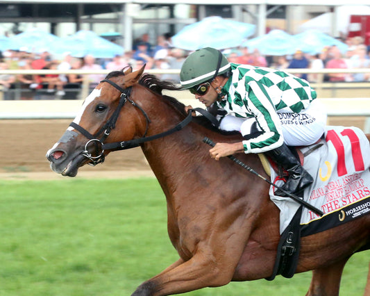 IN THE STARS - Indiana General Assembly Distaff Handicap - 07-11-26 - R08 - Horseshoe Indiana - Inside Finish 01 - Samantha Pagels