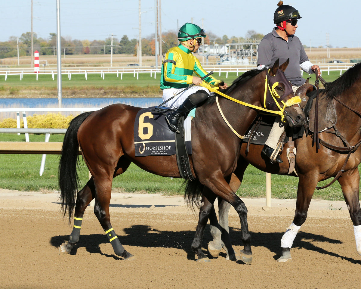 ITZFOREVER - Fireball Baby Overnight Handicap - 2nd Running - 10-28-26 - R07 - Horseshoe Indiana - Post Parade 01 - Sammantha Pagels