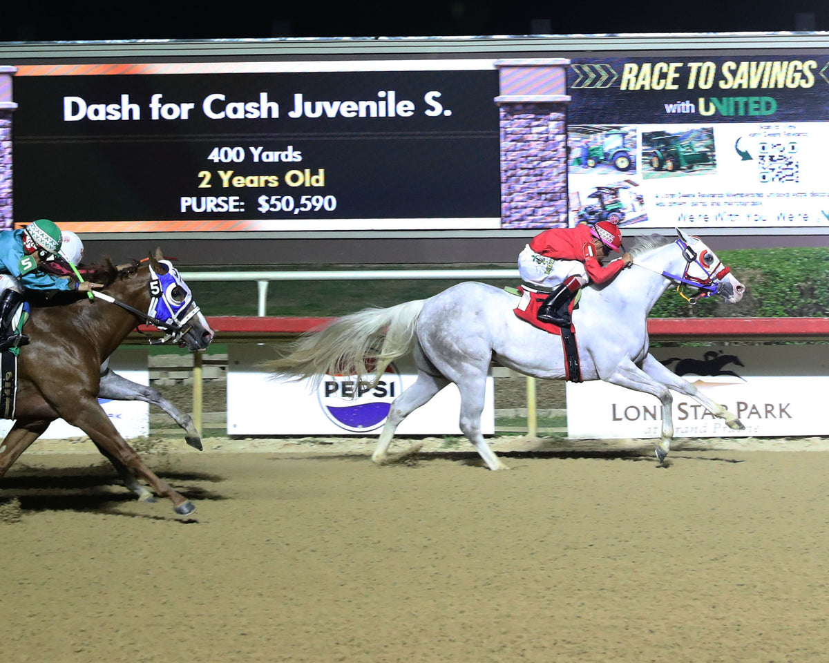 JC CANELO - Dash for Cash Juvenile Stakes - 10-10-26 - R08 - Lone Star Park -  Finish 2