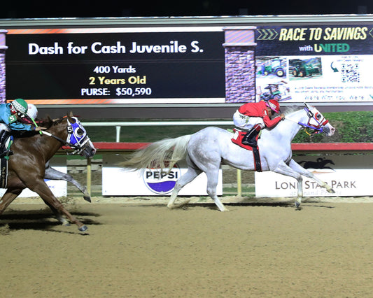 JC CANELO - Dash for Cash Juvenile Stakes - 10-10-26 - R08 - Lone Star Park -  Finish 2 - Coady Media - Kurtis Coady Photography