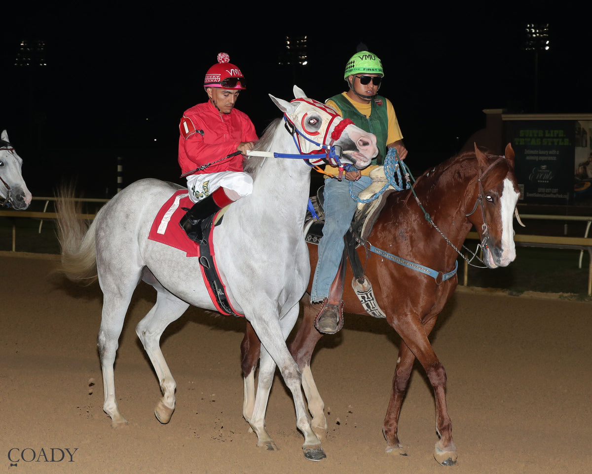 JC CANELO - Dash for Cash Juvenile Stakes - 10-10-26 - R08 - Lone Star Park - Post Parade