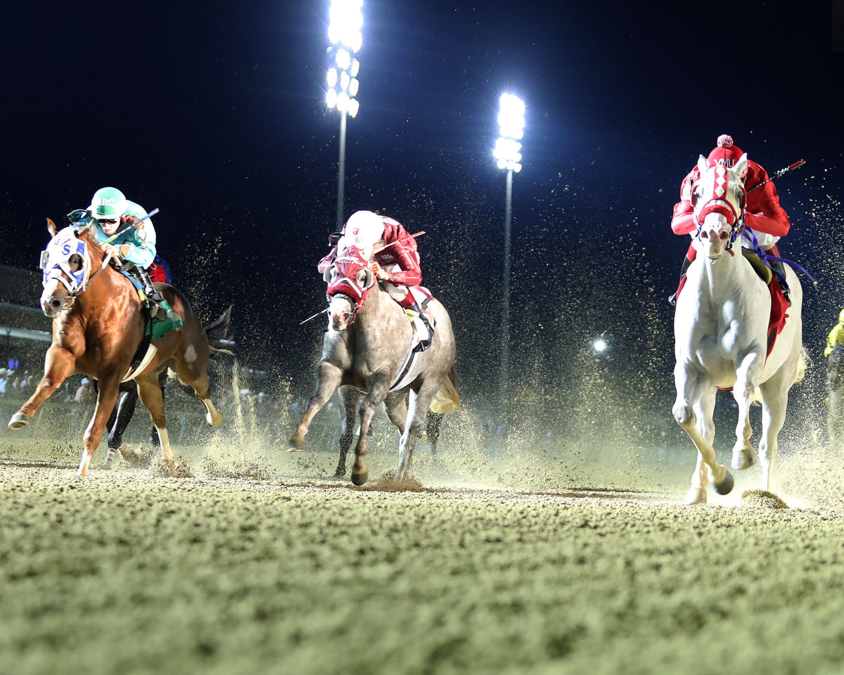 JC CANELO - Dash for Cash Juvenile Stakes - 10-10-26 - R08 - Lone Star Park - Under Rail