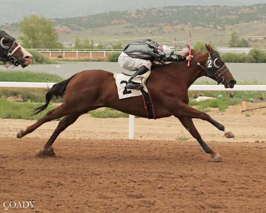 JESS A DASH OF CLASS - 307HR Wyoming Bred Classic Stakes - 06-26-26 - R09 - WYO
