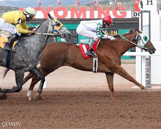 JESS NO SECRETS - 070226 - Race 08 - WYO  AQHA 870 Challenge Trials  Ross V. Alrie, Owner  Rick E. Scudder, Trainer  Luis A. Valenzuela, Jockey  $7.40 $5.60 $2.20  870 Yards  Purse $6,000