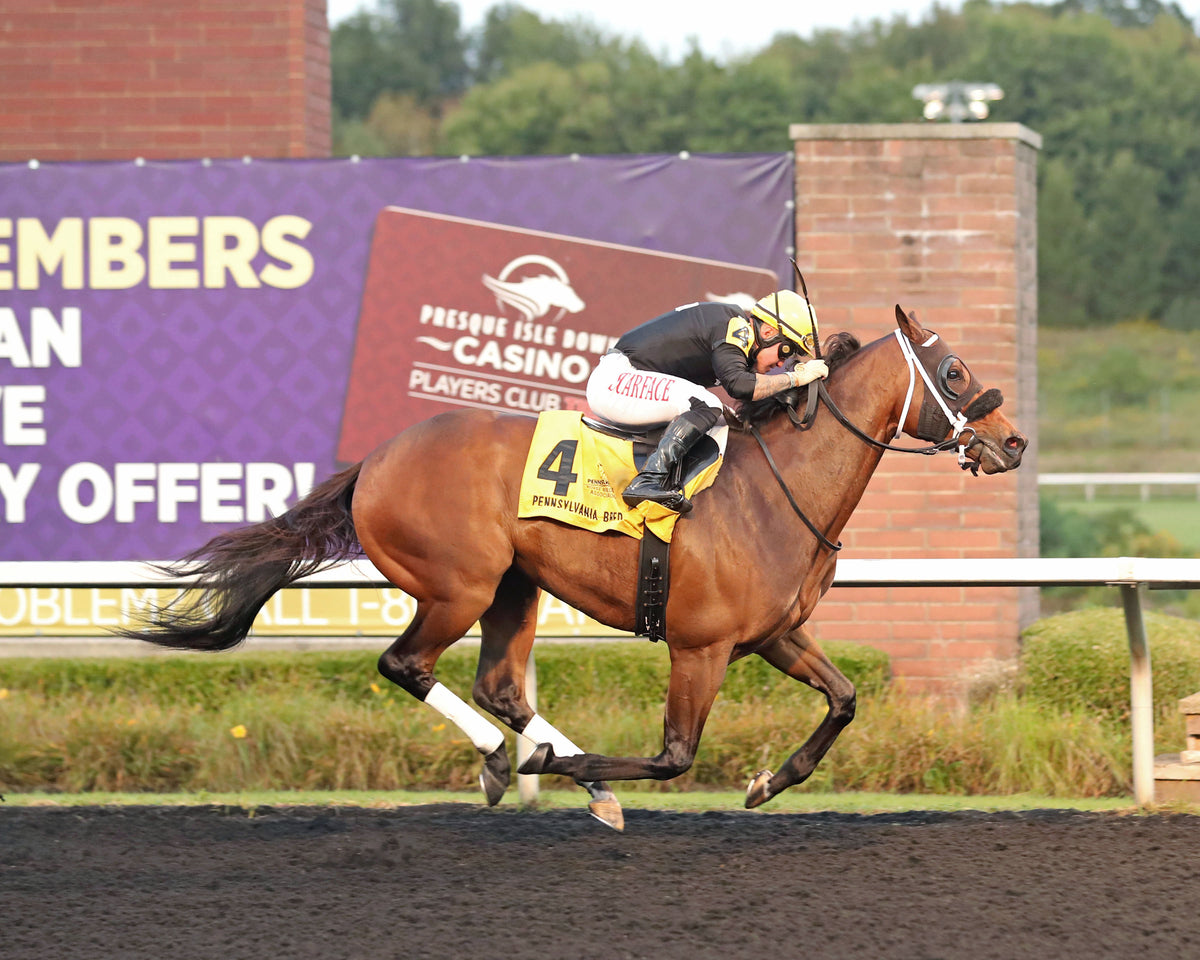 JOHN DUTTON - The Power By Far Stakes - 1st Running - 09-18-26 - R05 - PID - Finish 01