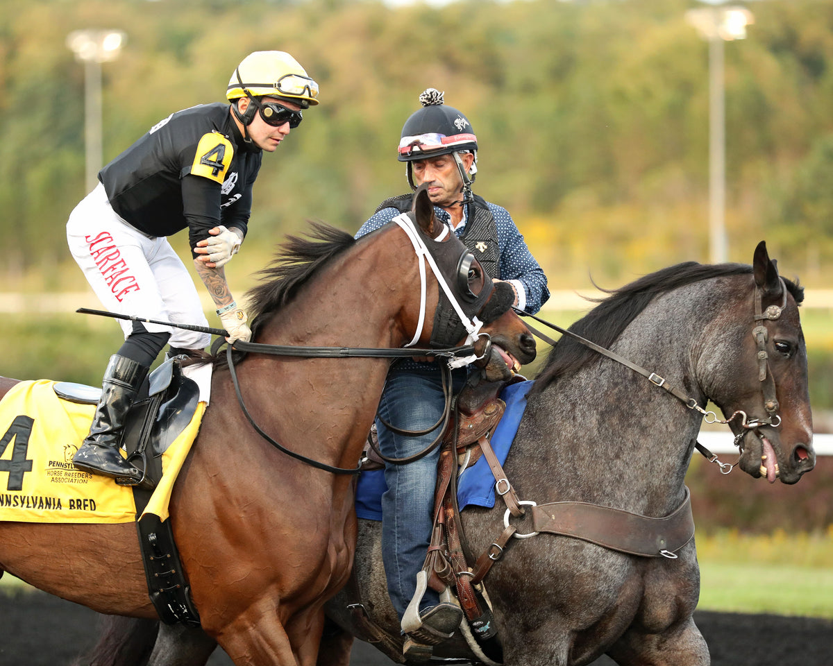 JOHN DUTTON - The Power By Far Stakes - 1st Running - 09-18-26 - R05 - PID - Post Parade 02