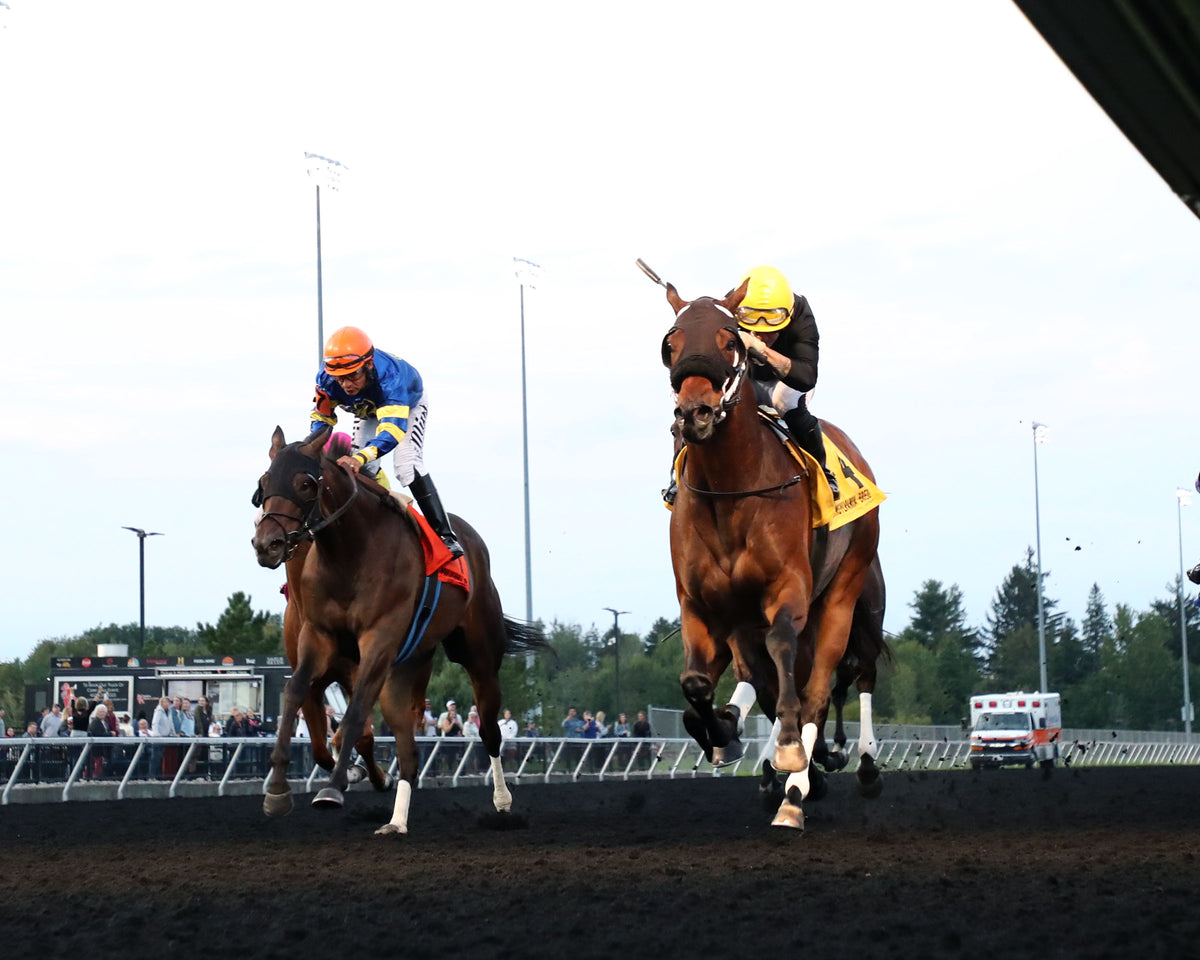 JOHN DUTTON - The Power By Far Stakes - 1st Running - 09-18-26 - R05 - PID - Under Rail