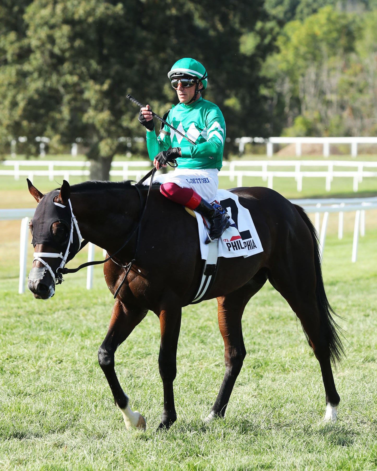 JOHNNY'S RED STORM - The Kentucky Downs Juvenile Sprint - 08-31-25 - R09 - KD - Comeback 01 - Coady Media - Kurtis Coady Photography