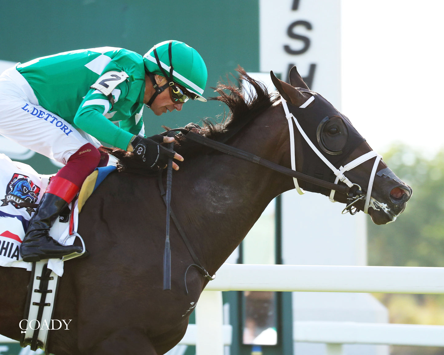 JOHNNY'S RED STORM - The Kentucky Downs Juvenile Sprint - 08-31-25 - R09 - KD - Finish 04 - Coady Media - Kurtis Coady Photography