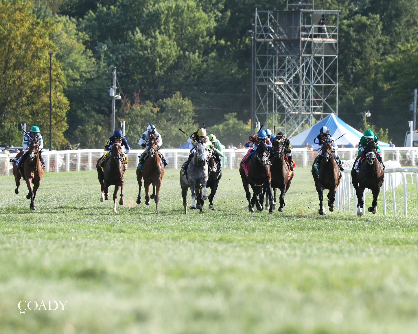 JOHNNY'S RED STORM - The Kentucky Downs Juvenile Sprint - 08-31-25 - R09 - KD - Head On 01 - Coady Media - Kurtis Coady Photography