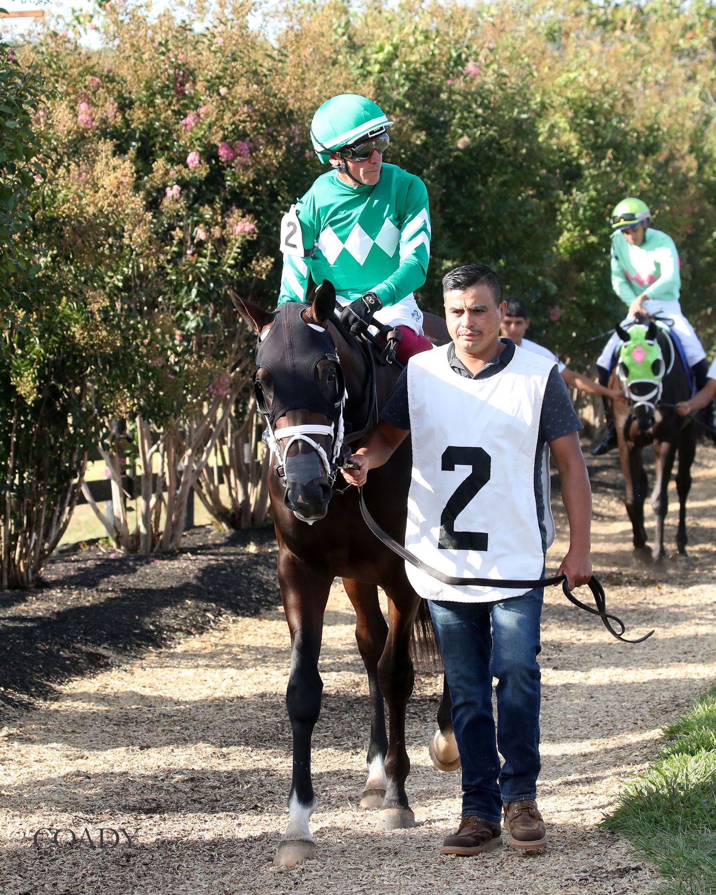JOHNNY'S RED STORM - The Kentucky Downs Juvenile Sprint - 08-31-25 - R09 - KD - Paddock 01 - Coady Media - Kurtis Coady Photography