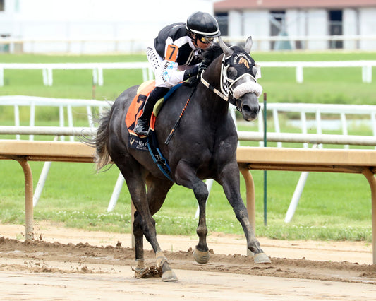 JR SHADOW BOY - Hoosier Breeders Sophomore Handicap - 07-11-26 - R05 - Horseshoe Indiana - Finish 02 - Cady Coulardot