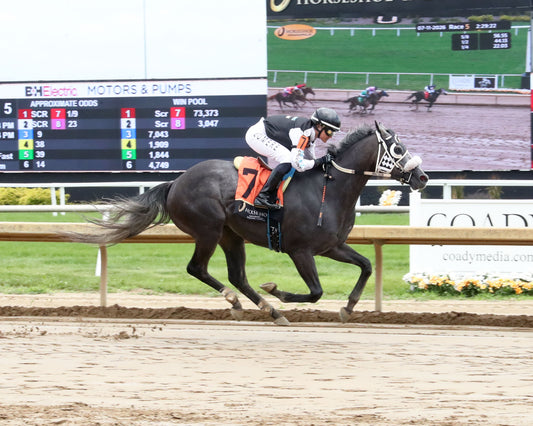 JR SHADOW BOY - Hoosier Breeders Sophomore Handicap - 18th Running - 07-11-26 - R05 - Horseshoe Indiana - Finish 01 - Devin Hall