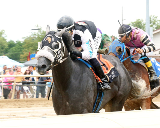 JR SHADOW BOY - Hoosier Breeders Sophomore Handicap - 18th Running - 07-11-26 - R05 - Horseshoe Indiana - Inside Finish 02 - Sammantha Pagels