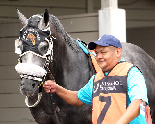 JR SHADOW BOY - Hoosier Breeders Sophomore Handicap - 18th Running - 07-11-26 - R05 - Horseshoe Indiana - Paddock 01 - Casey Cable