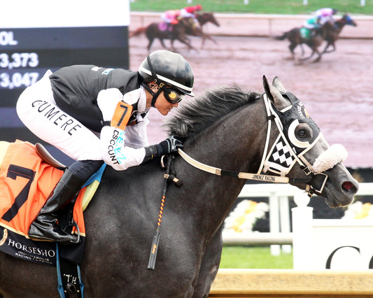 JR SHADOW BOY - Hoosier Breeders Sophomore Handicap - 18th Running - 07-11-26 - R05 - Horseshoe Indiana - Tight Finish 01 - Casey Cable