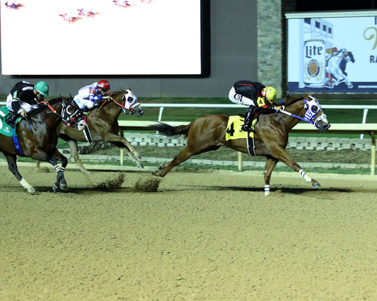 JT MIDLIFE CRISIS - Dash for Cash Futurity (Grade II) - 10-10-26 - R12 - Lone Star Park - Finish 02 - Coady Media - Kurtis Coady Photography