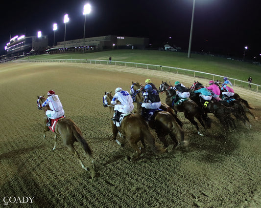 JT MIDLIFE CRISIS - Dash for Cash Futurity (Grade II) - 10-10-26 - R12 - Lone Star Park - Gate 01 - Coady Media - Kurtis Coady Photography