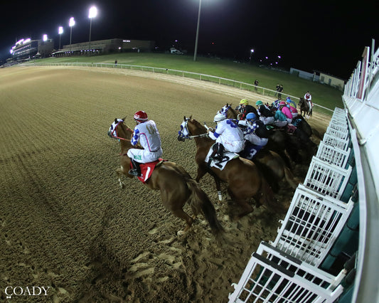 JT MIDLIFE CRISIS - Dash for Cash Futurity (Grade II) - 10-10-26 - R12 - Lone Star Park - Gate 02 - Coady Media - Kurtis Coady Photography