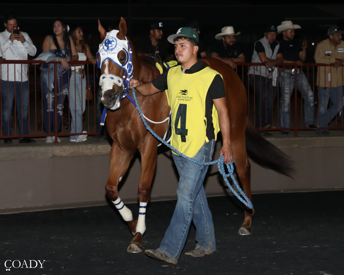JT MIDLIFE CRISIS - Dash for Cash Futurity (Grade II) - 10-10-26 - R12 - Lone Star Park - Paddoc 01