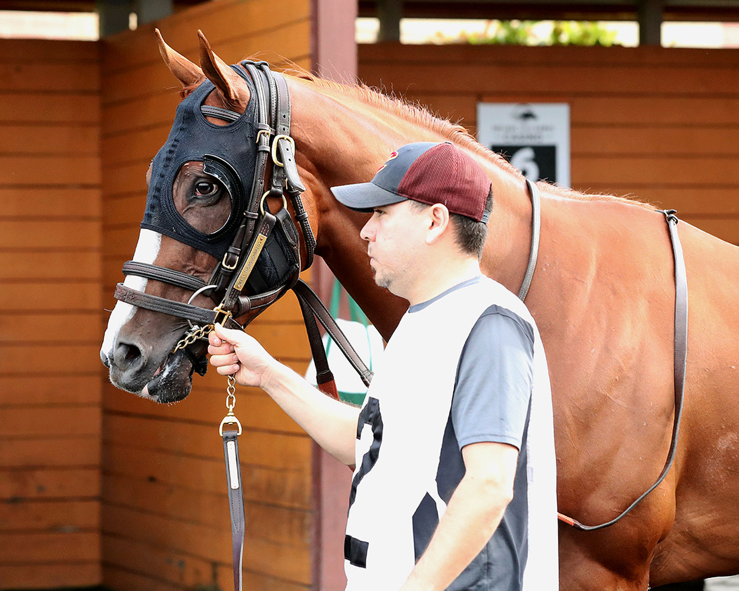 JUSTIFIABLE STEEL - The Princess of Sylmar Stakes - 08-17-26 - R07 - PID - Paddock 03