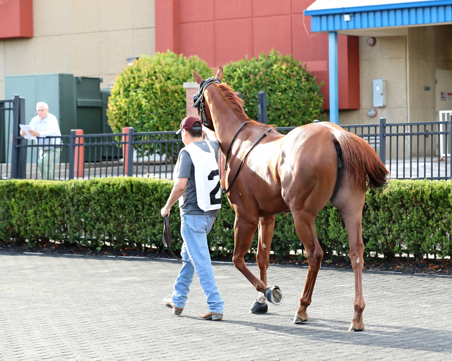 JUSTIFIABLE STEEL - The Princess of Sylmar Stakes - 08-17-26 - R07 - PID - Paddock 04