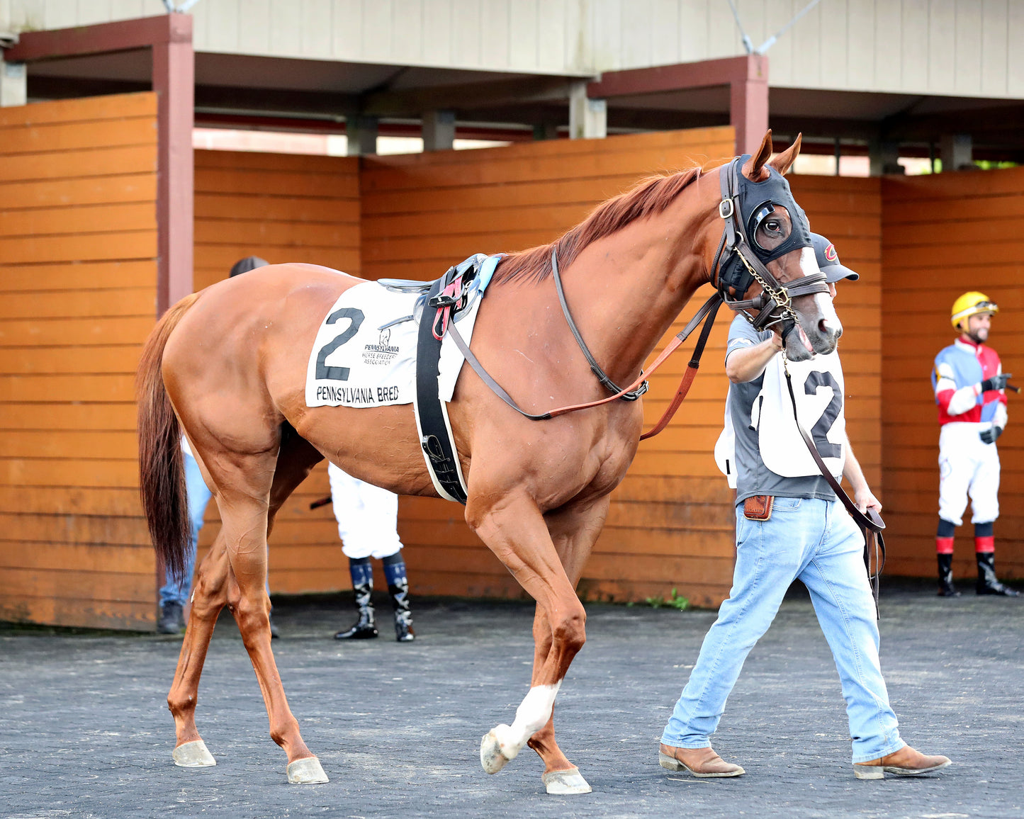 JUSTIFIABLE STEEL - The Princess of Sylmar Stakes - 08-17-26 - R07 - PID - Paddock 06