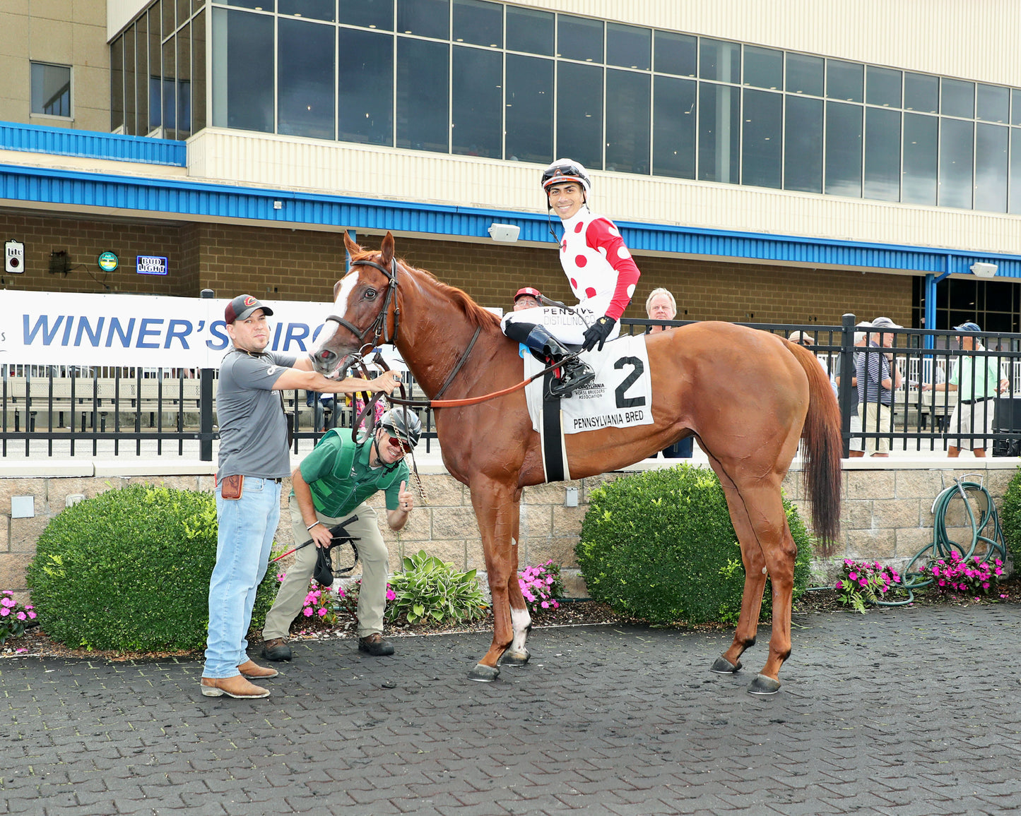 JUSTIFIABLE STEEL - The Princess of Sylmar Stakes - 08-17-26 - R07 - PID - Winner's Circle