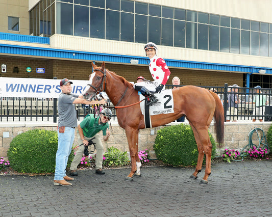JUSTIFIABLE STEEL - The Princess of Sylmar Stakes - 08-17-26 - R07 - PID - Winner's Circle