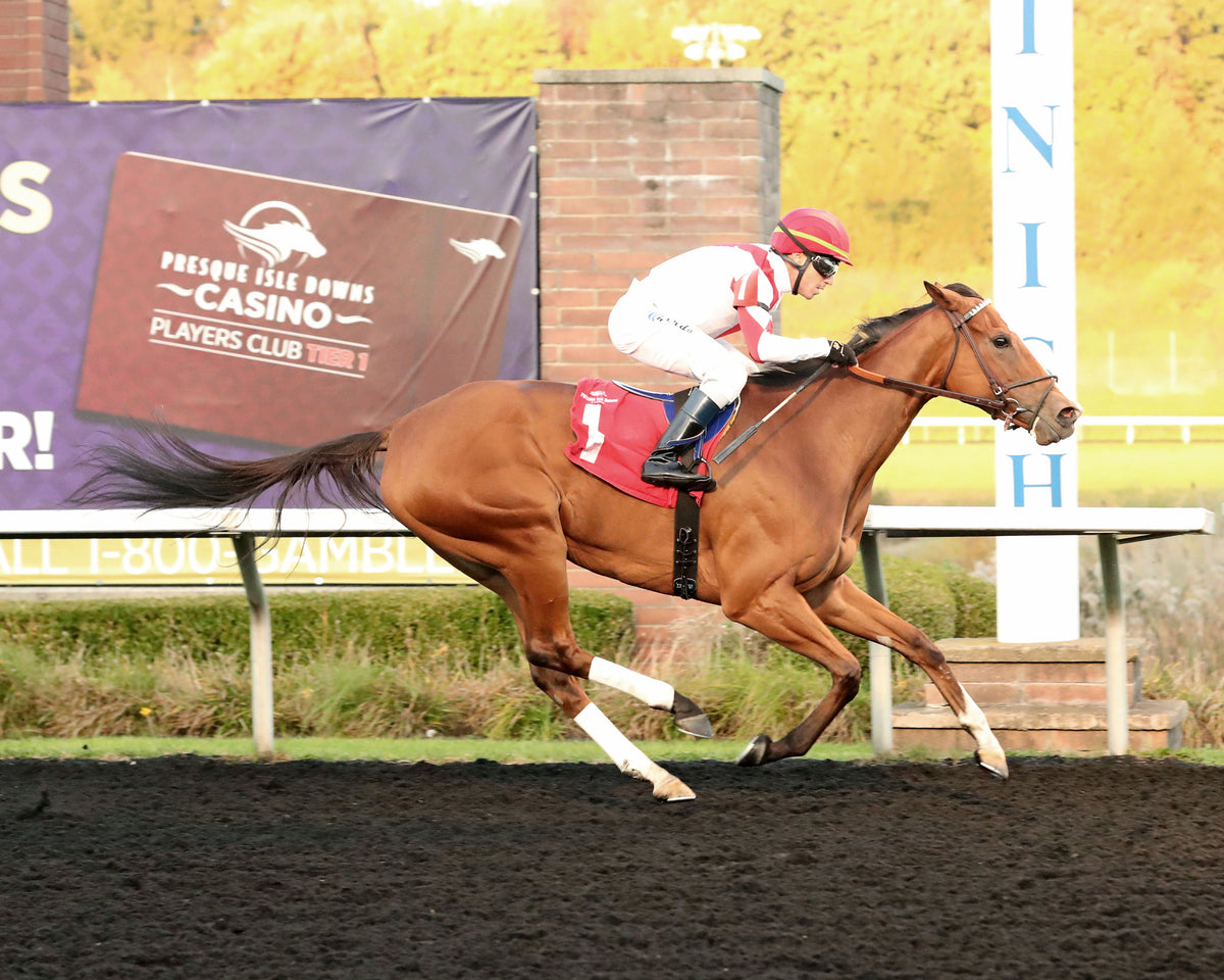 JUST RUTHLESS - The 20th Running of The H.B.P.A. Stakes - 10-12-26 - R07 - PID - Finish 02