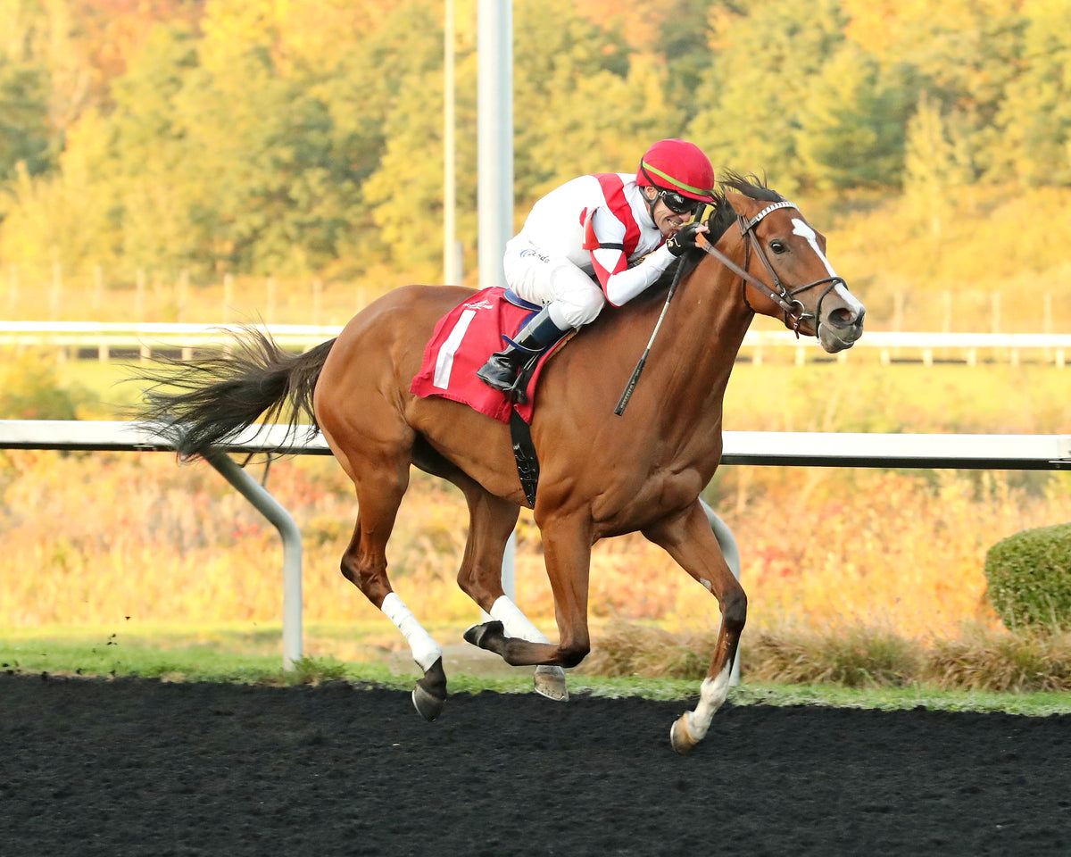 JUST RUTHLESS - The 20th Running of The H.B.P.A. Stakes - 10-12-26 - R07 - PID - Finish 01
