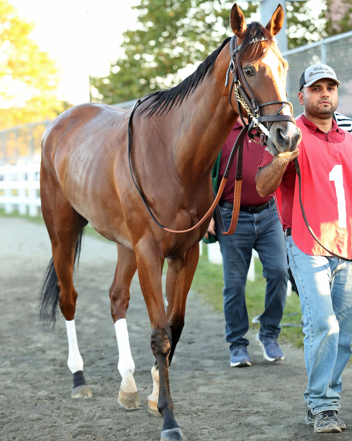 JUST RUTHLESS - The 20th Running of The H.B.P.A. Stakes - 10-12-26 - R07 - PID - Paddock 01