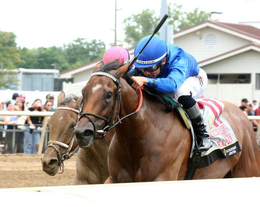KAPOOR - Mari Hulman George Memorial - 07-11-26 - R09 - Horseshoe Indiana - Inside Finish 01 - Samantha Pagels