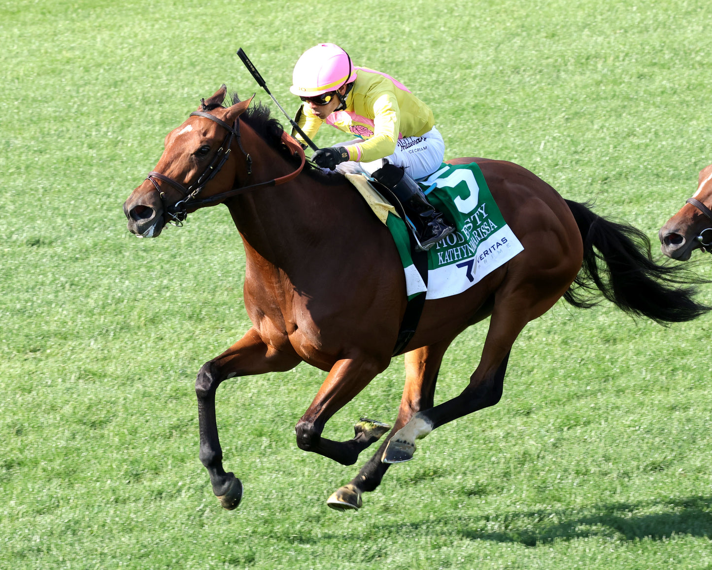 KATHYNMARISSA - The Modesty G3 - 05-01-26 - R10 - CD - Inside Finish 02 - Coady Media - Kurtis Coady Photography