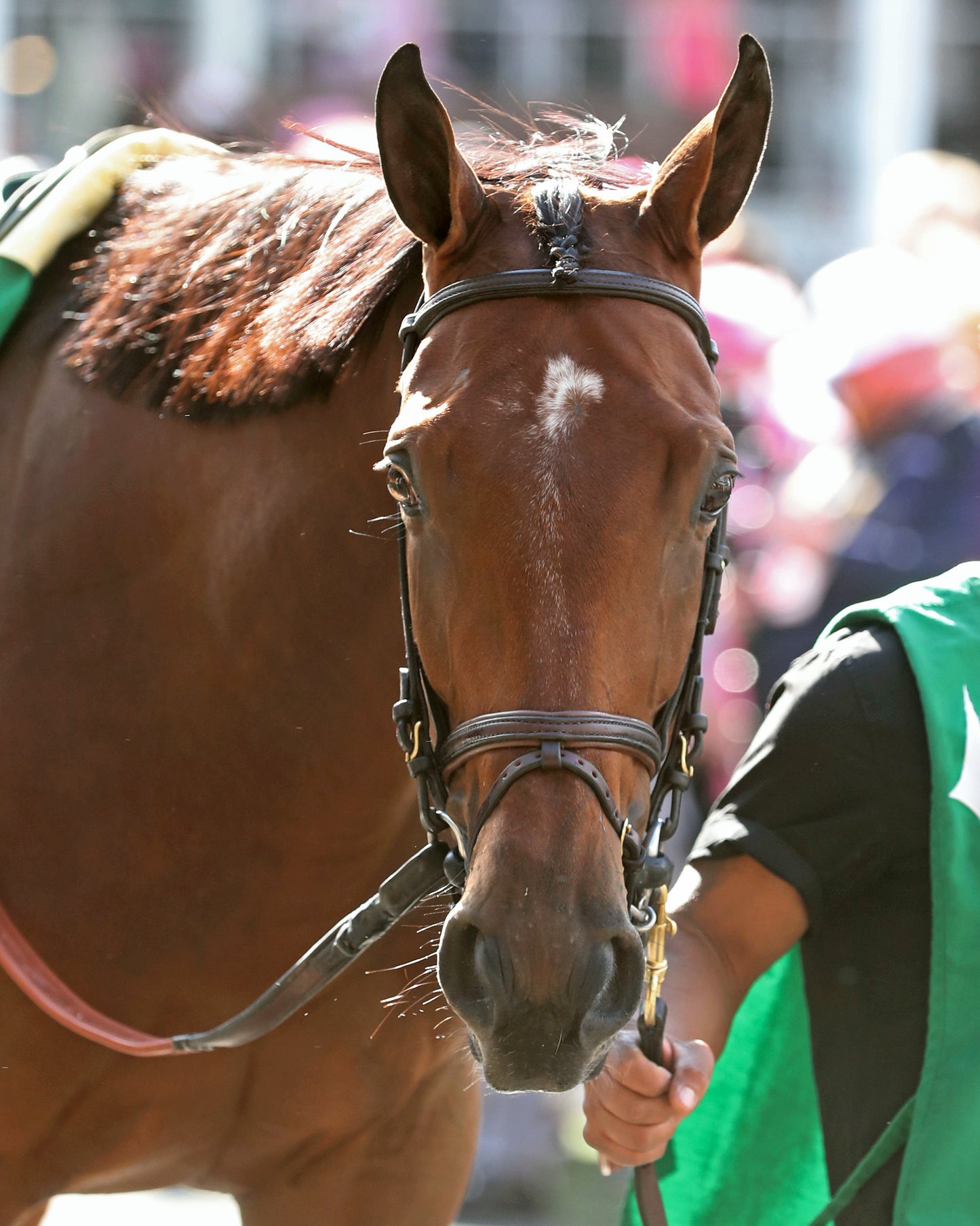 KATHYNMARISSA - The Modesty G3 - 05-01-26 - R10 - CD - Paddock 01 - Coady Media - Kurtis Coady Photography