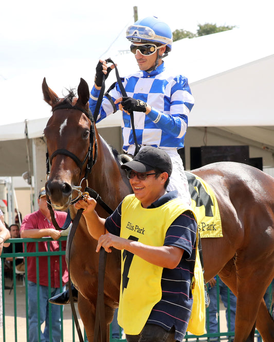 KILWIN - The Twin Bridges - 07-19-26 - R08 - ELP - Paddock 01