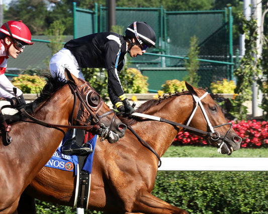 LAGYNOS - 053026 - Race 11 - CD  The Arlington Stakes G3 - Celebration 01