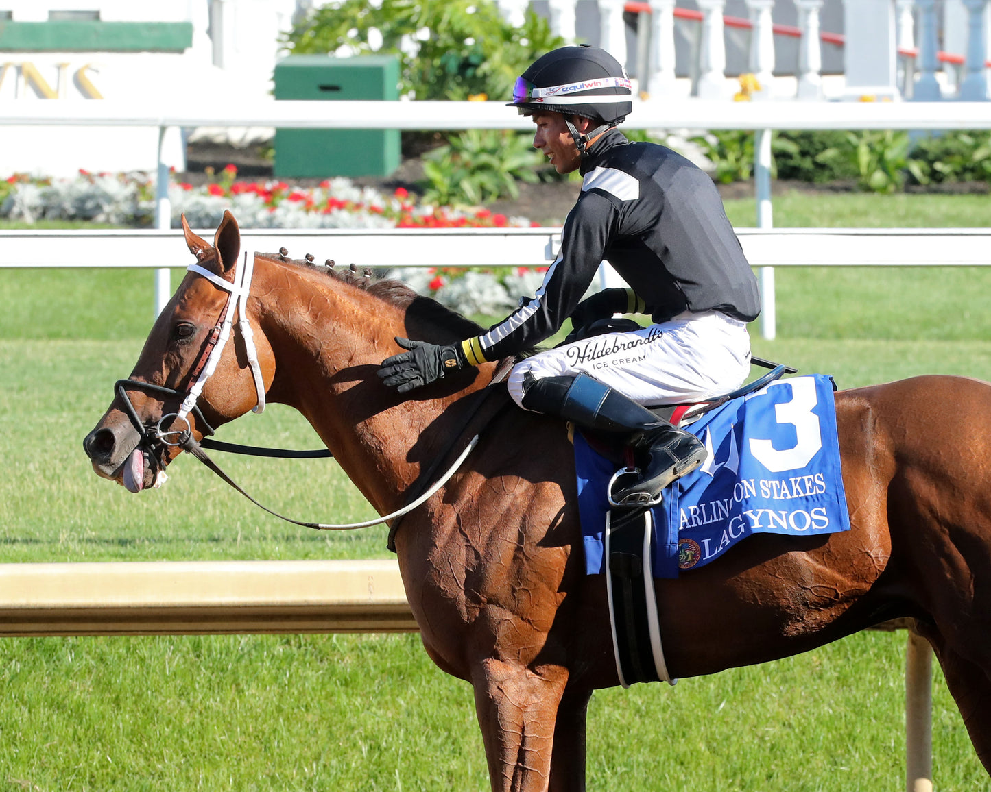 LAGYNOS - 053026 - Race 11 - CD  The Arlington Stakes G3 - Come Back 01