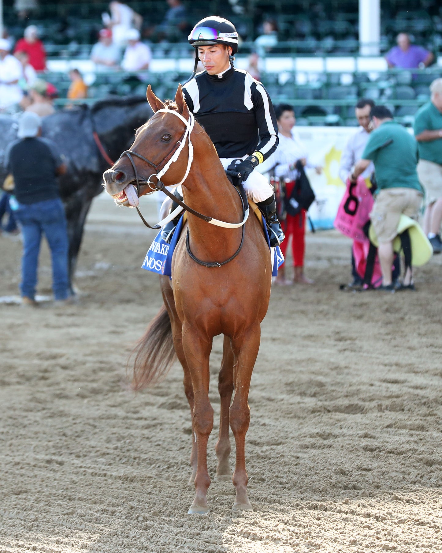 LAGYNOS - 053026 - Race 11 - CD  The Arlington Stakes G3 - Come Back 03